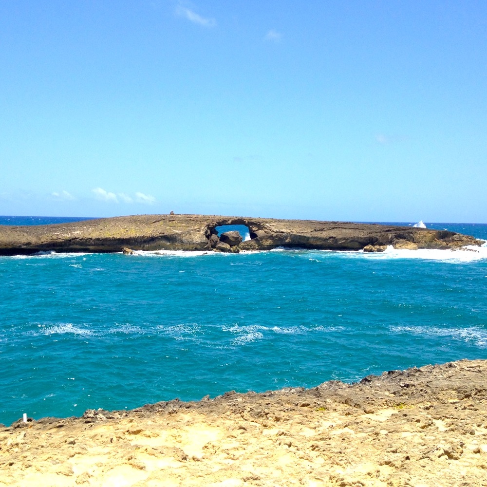 Meet your Posher, Kehau